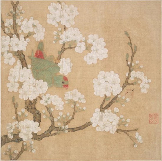 南宋 佚名 梨花鹦鹉图.jpg