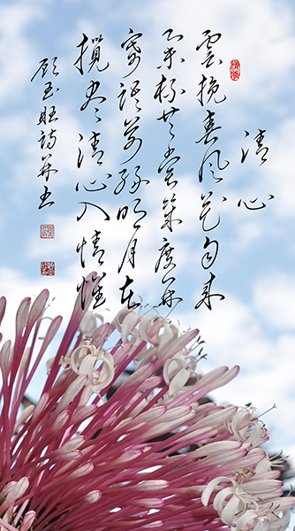 1清心.jpg