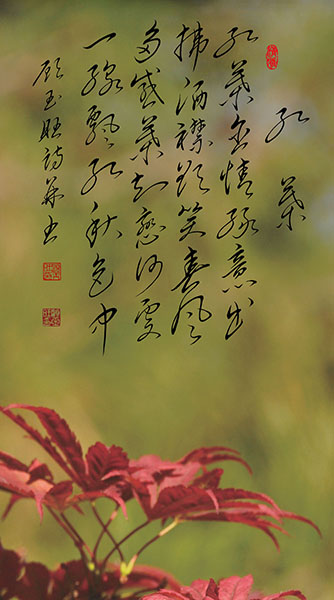 6红叶.jpg