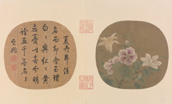 鲁宗贵《夏卉骈芳图》，绢本设色，25.2×23.7cm，宋代.png