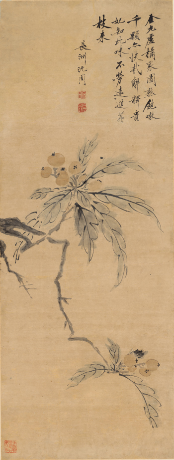 沈周《枇杷图》，纸本设色，132.7×36.5cm，明代.png