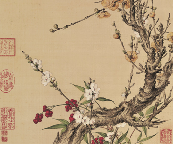 郎世宁《仙萼长春图册——樱桃图》，绢本设色，33.3×27.8cm，清代.png