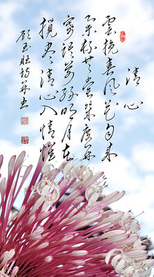 1清心  云挽春风花自来 举杯共赏几度开 寄语前缘明月在 揽尽清心入情怀.jpg