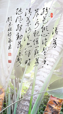 2清芳 纷花倾心许馨香 岸水亲怀一点芳 清叶何从亦伴时 随风驿动荡幽声.jpg