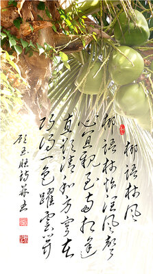 3椰语林风 椰语林怡润风声 心宜亲至两相逢 直欲清和方穹在 巧得一色跃云开.jpg