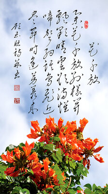 4花千放 举花千放别样开  飘彩晴云欲满怀 啼声细语鸟飞近 尽舞时逢芳丛来.jpg
