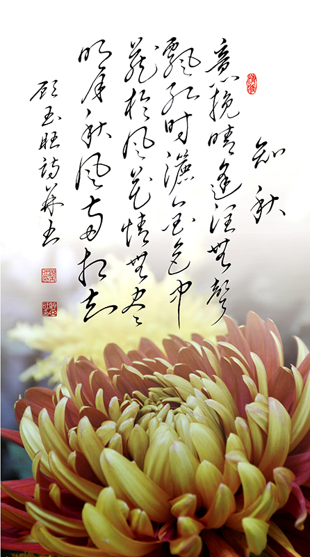 8知秋 意挽晴逢润无声 飘红时洒金色中 藏于风花情无尽 明月秋风两相知.jpg