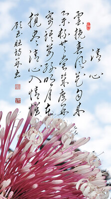 1清心.jpg