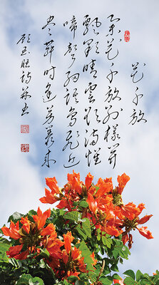 2花千放.jpg