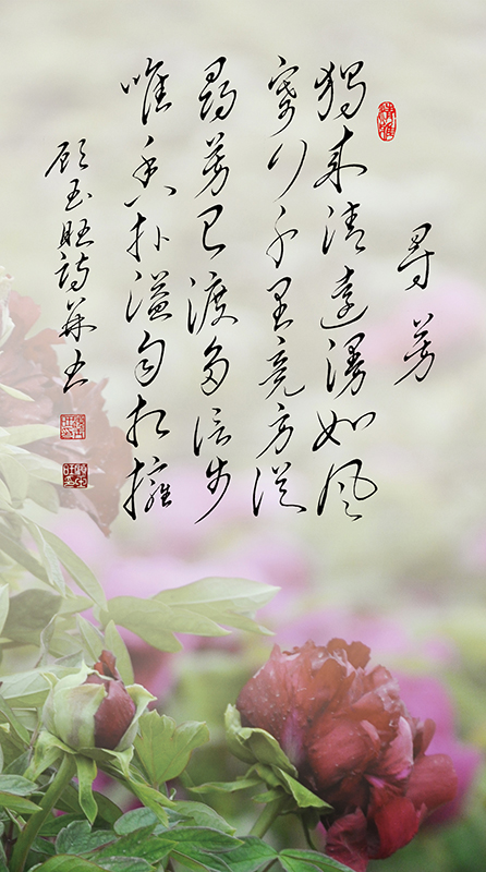 4寻芳.jpg