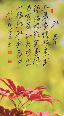 9红叶.jpg