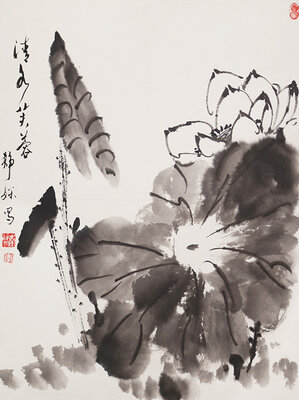 8淸香芙蓉.JPG