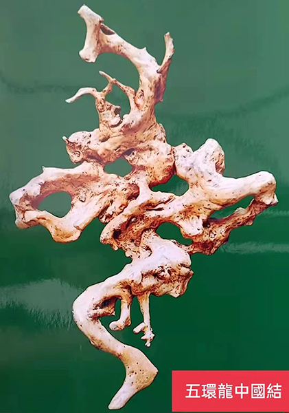 《五环龙中国结》（奥运系列），杜鹃根，高1.15米，一体（无拼接）.jpg