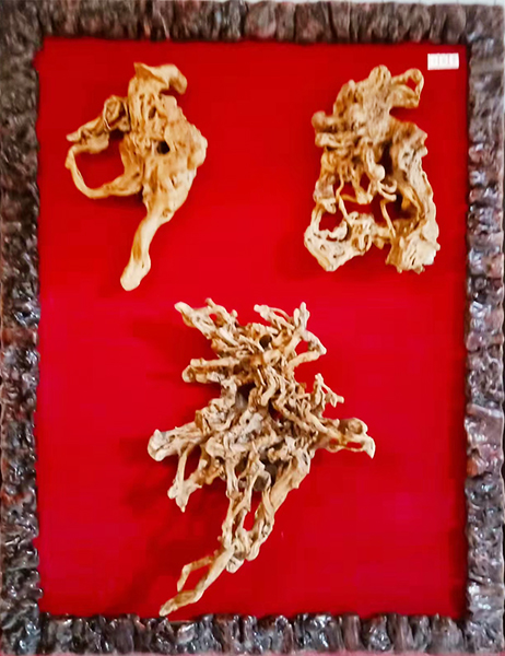 《龍》（根书象形字），杜鹃根，高0.98米（无拼接） (2).jpg