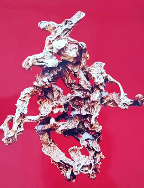 《春喜善夀》（根书一根多字），杜鹃根，高1.05米，一体（无拼接。）.jpg