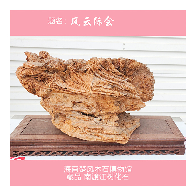 微信图片_20250506151252.jpg